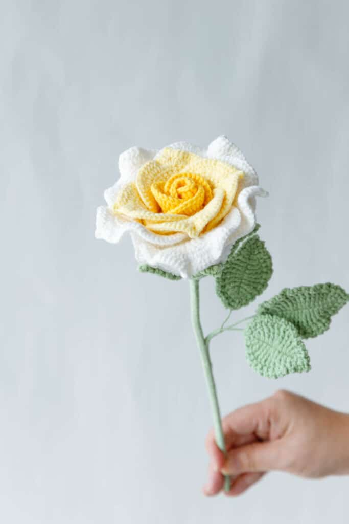 Big Thai Rose Pattern - featured image