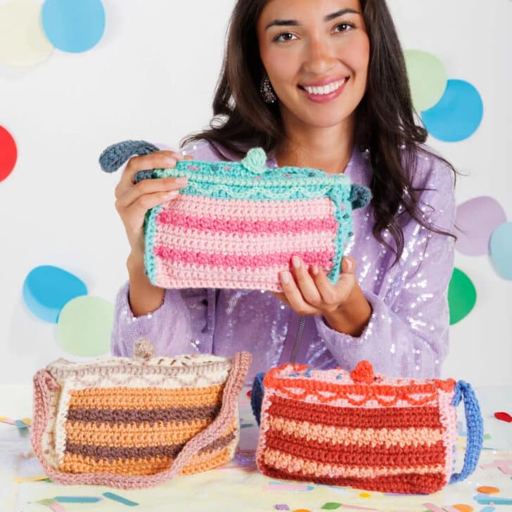 Caron Cakes 10th Anniversary Crochet Blanket crochet project crochet project detail 1