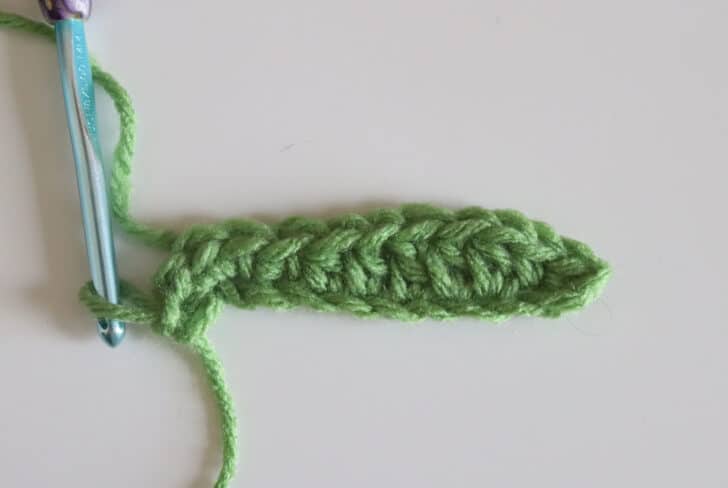 crochet holly berry appliqué crochet project crochet project detail 4