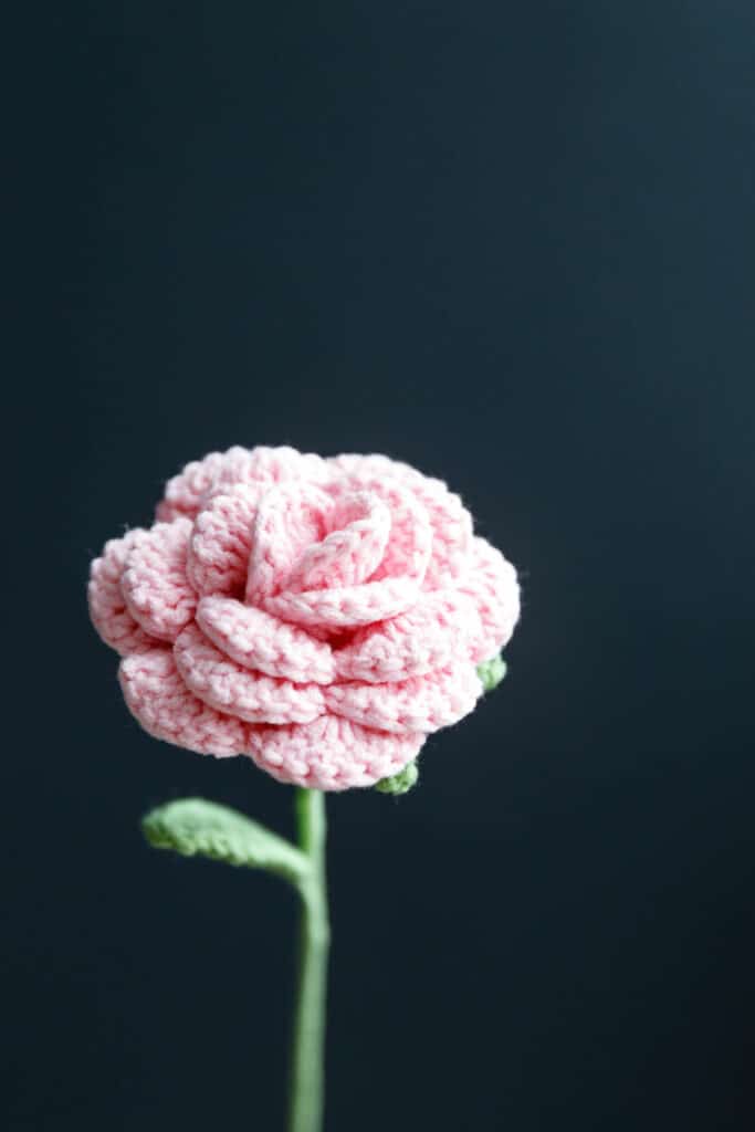 crochet rose patterns crochet project crochet project detail 8