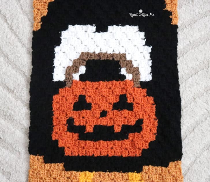 Halloween Porch Goose C2C crochet project crochet project detail 1