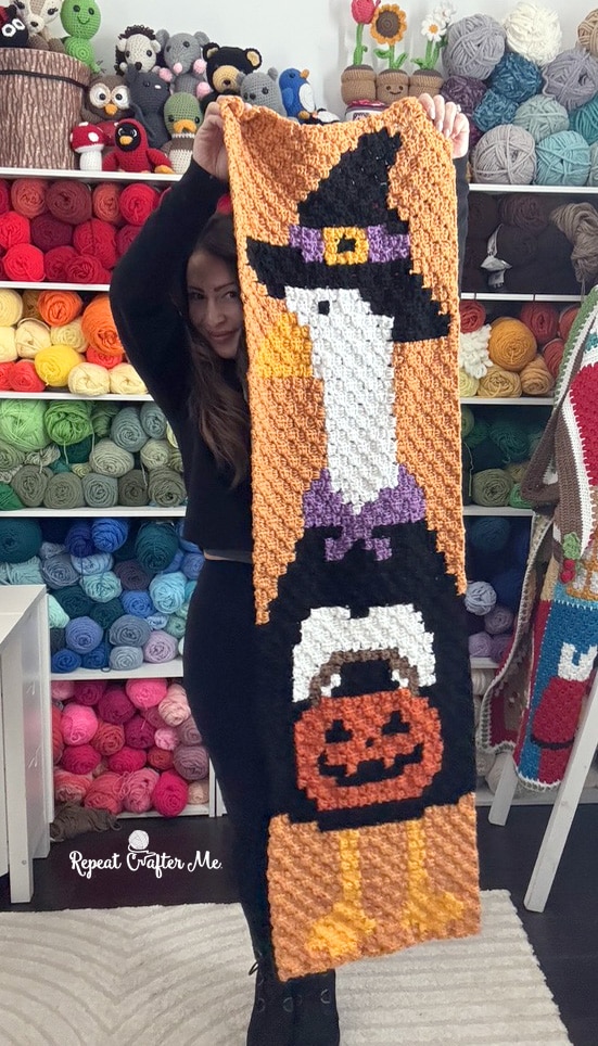 Halloween Porch Goose C2C crochet project crochet project detail 5